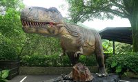 園區內展出20種以上的各種擬真恐龍，讓民眾在園區內就可以體驗2億年前的恐龍時代。