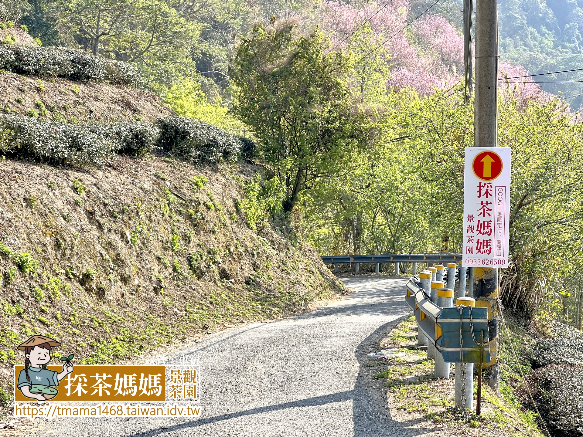採茶媽媽露營區,南投採茶媽媽露營區,關頭山採茶媽媽露營區