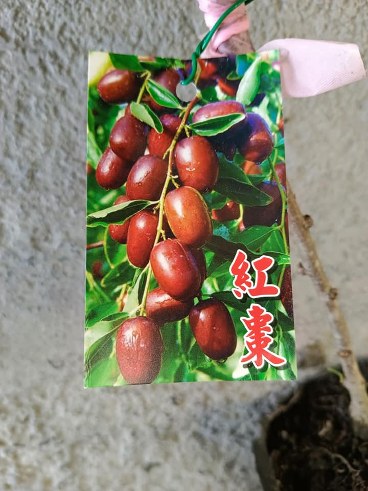 07
