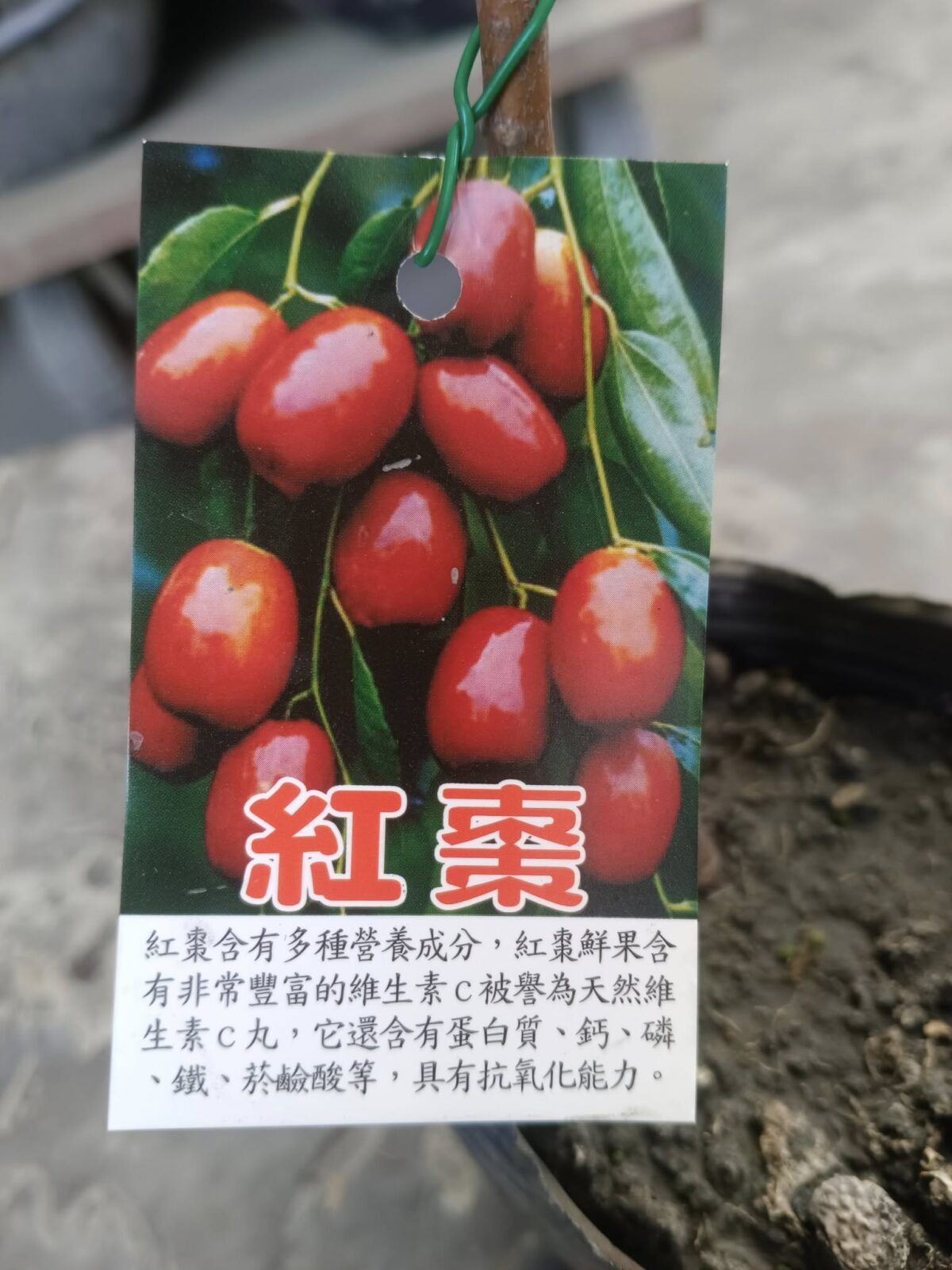 11