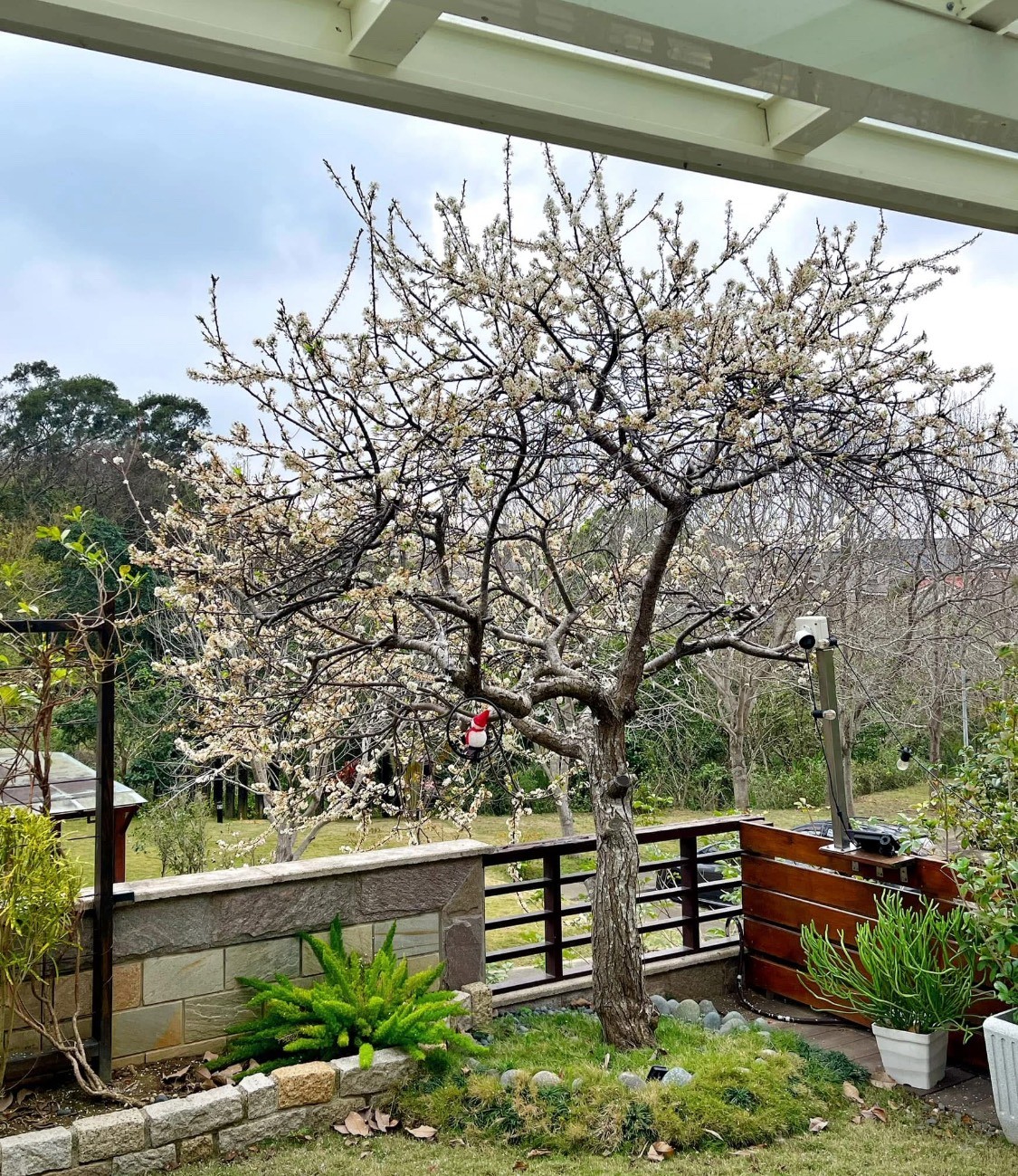 LINE_ALBUM_聯華山莊嵩翠路69號PO網照片_250701_5