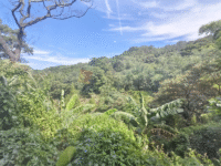 EFPXWPWTD8PAWQX4A9XPTUQDY3