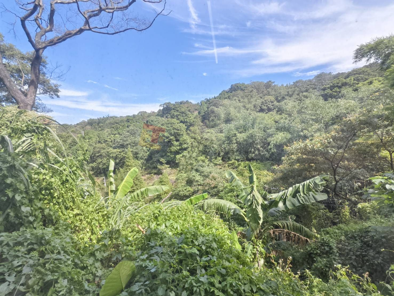 EFPXWPWTD8PAWQX4A9XPTUQDY3