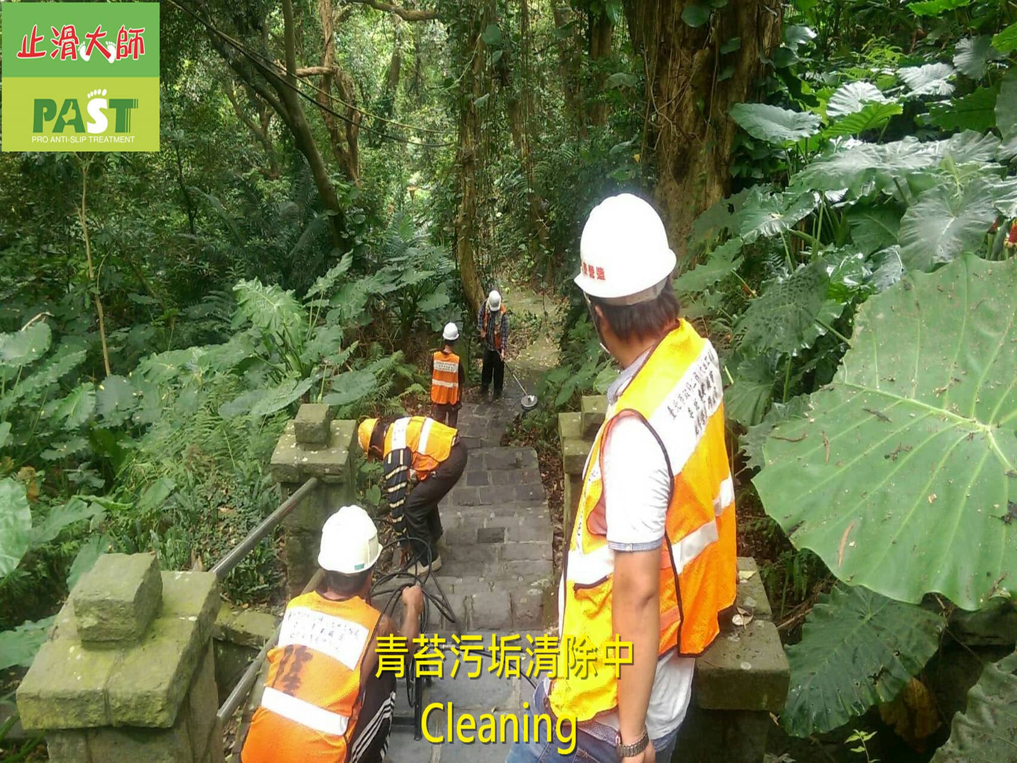 石階清洗 步道青苔階梯清洗,清除青苔,人行道清潔,公園走道清洗,露營場地清洗,家門地面長青苔,消除青苔,苔蘚,青苔去除劑,高壓清洗機,清洗青苔首選,除青苔,機器清洗水泥地面苔蘚清除青苔清潔,外牆青苔清洗,抑制青苔生長方法,居家清潔消毒,清洗圍牆車道地磚,青苔污垢清除,水垢清除,馬桶水垢清潔,地面油汙清理,管道疏通劑,浴室玻璃清潔,連鎖磚清洗,除垢,工業地面清潔,樓梯青苔清洗,木棧道清洗,戶外清洗工程,水泥地面清潔,步道青苔清洗