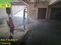 車道清洗 人行道清潔,家門地面長青苔,消除青苔,苔蘚,青苔去除劑,高壓清洗機,清洗青苔首選,除青苔,機器清洗水泥地面苔蘚清除青苔清潔,外牆青苔清洗,抑制青苔生長方法,居家清潔消毒,清洗圍牆車道地磚,青苔污垢清除,水垢清除,馬桶水垢清潔,地面油汙清理,管道疏通劑,浴室玻璃清潔,連鎖磚清洗,除垢,工業地面清潔,樓梯青苔清洗,木棧道清洗,戶外清洗工程,水泥地面清潔,步道青苔清洗,公園走道清洗,露營場地清洗